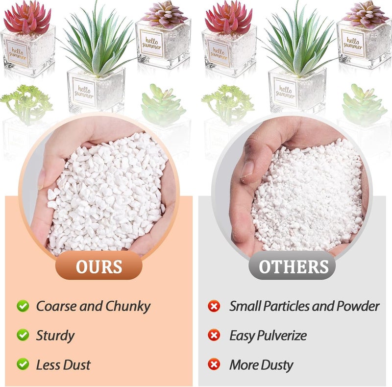 Riare 4 Quarts Organic Perlite for Plants - Horticultural Perlite Soil Amendment for Plants Potting Mix, Natural Chunky Perlite Soil Additive Conditioner Improve Root Growth, Drainage and Ventilation - Image 4